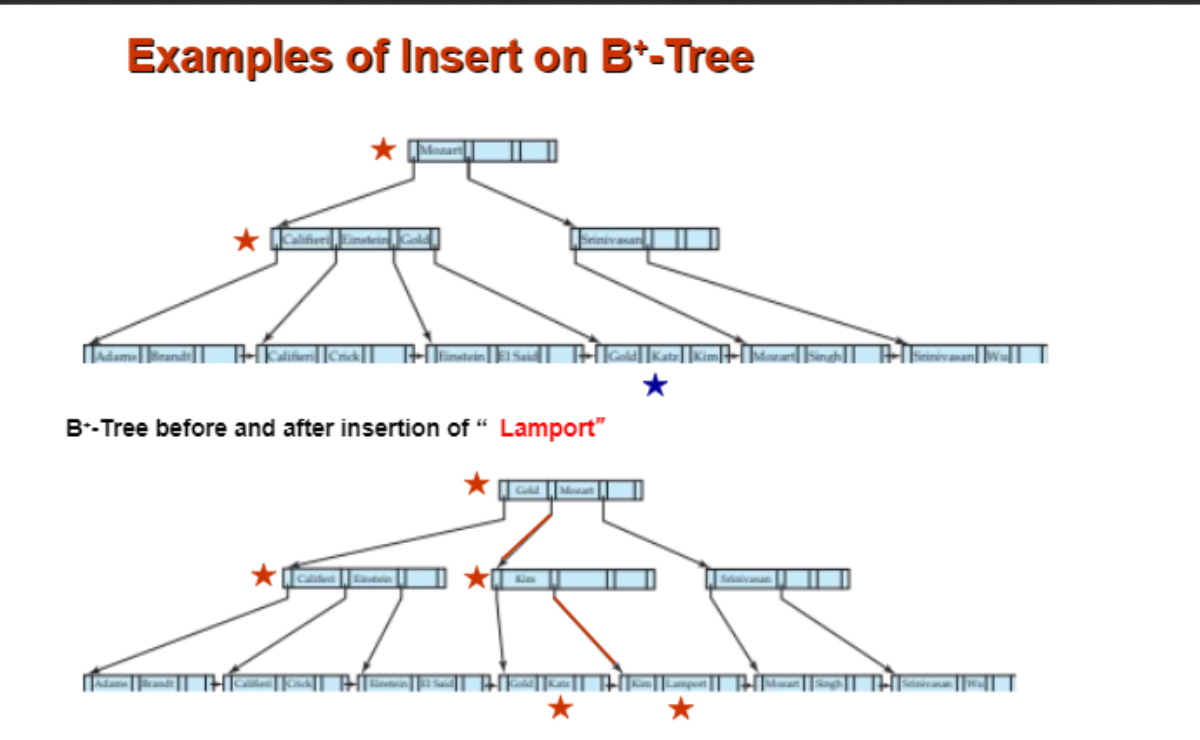 B+ Tree 插入示例